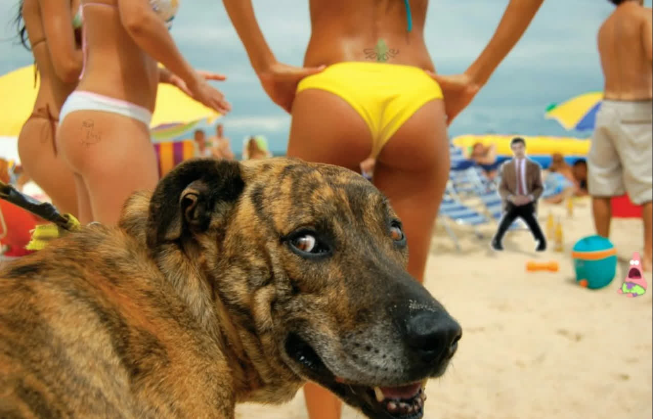 Забавные истории #8