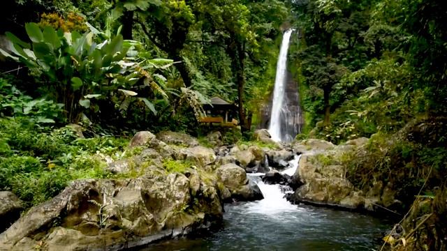 Gitgit Waterfall in Buleleng Regency of Bali 4k. Relaxing Waterfall Sounds 10 hours in 4k UHD. смотреть онлайн