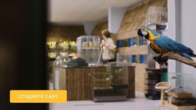 Создайте сайт для своего бизнеса смотреть онлайн