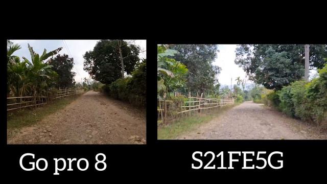 Camera quality test: Samsung S21 FE 5G vs. GoPro8 смотреть онлайн