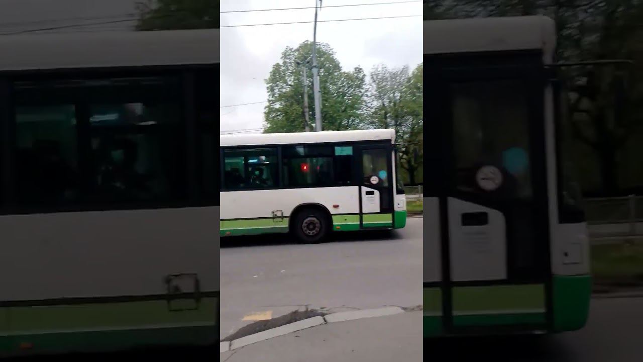 #mm2 #cupcut #aespa #роблокс #реки #kpop #аватар #wildberries #pop #beat @DimaDM39