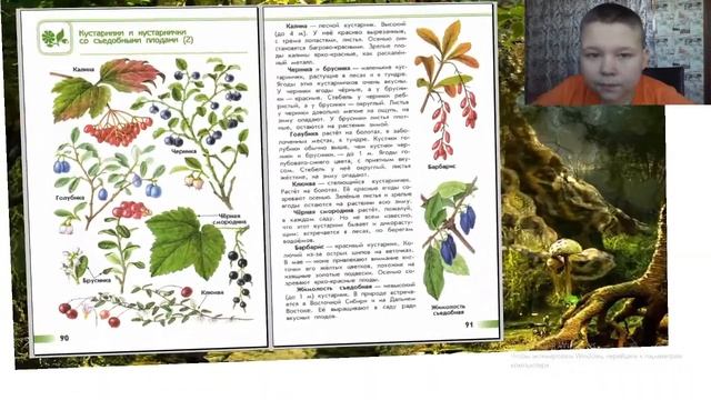 Атлас-определитель ОТ ЗЕМЛИ ДО НЕБА #23 смотреть онлайн