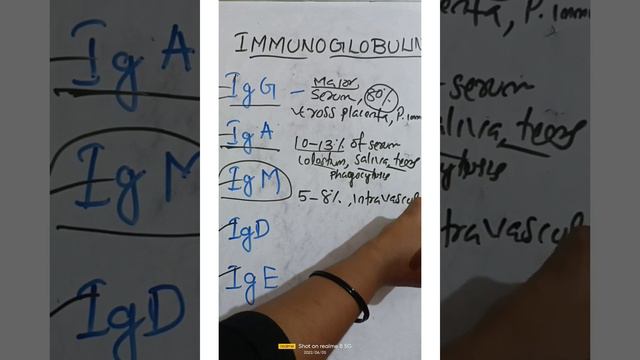 Immunoglobulins,all major types смотреть онлайн