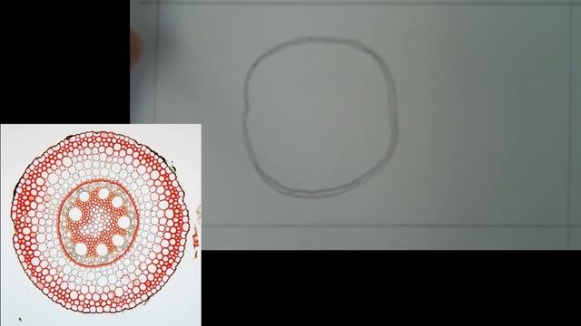 Plan Diagram 3 [Unfamiliar] смотреть онлайн