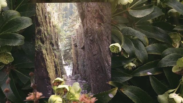 Самые красивые парки Европы смотреть онлайн