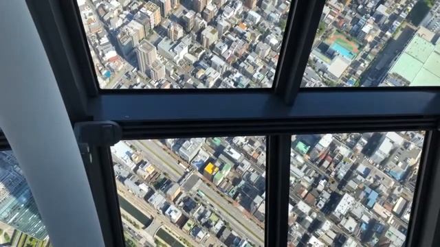 Стрим из Токио. Самая высокая башня Небесное дерево. Tokyo sky tree . Июнь 2021 г смотреть онлайн