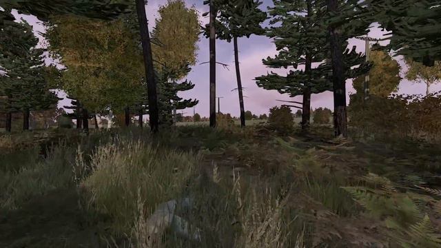 Рандом со снайперской винтовкой - DayZ от первого лица смотреть онлайн