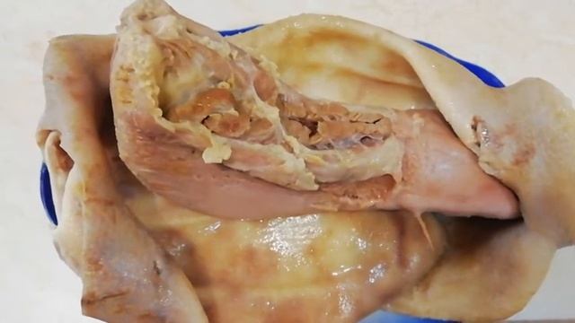 Бриллиантовая чистка