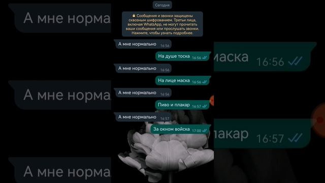 А мне нармально