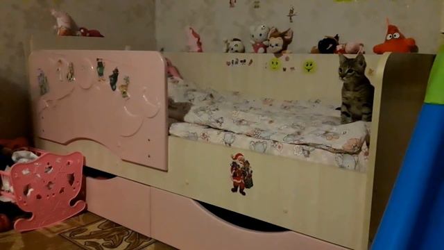 СМОТРИ ОДИН ДЕНЬ ИЗ ЖИЗНИ БАРСИКА ))) смотреть онлайн