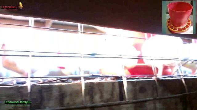 Супер кормушка для бройлеров больше нет просыпания корма смотреть онлайн