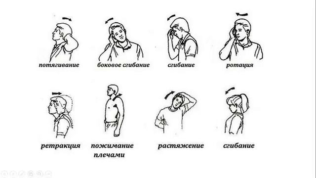 Основы здорового позвоночника (полная видеолекция) смотреть онлайн