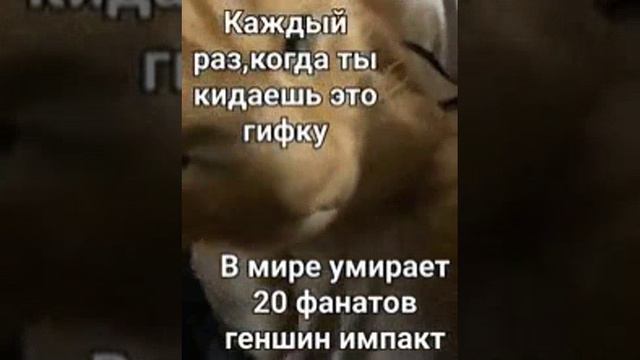 с котом на уроке смотреть онлайн