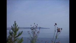 ...от одной лишь мысли о тебе...