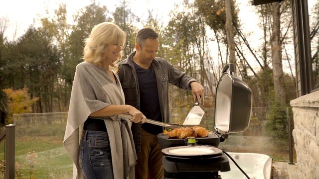 Электрический гриль Napoleon TravelQ PRO285E смотреть онлайн