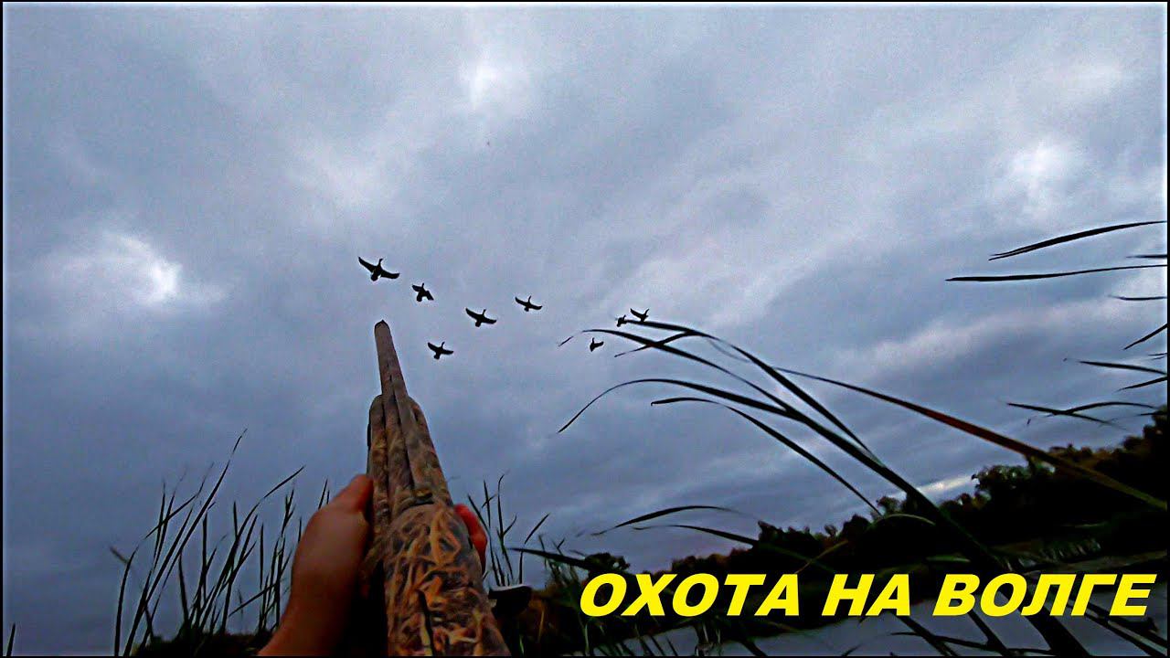 ПЕРЕЛЁТ НАЧАЛСЯ!!! 11 УТОК ЗА УТРЯНКУ!!! Охота на уток с МР-155 / MAX HUNTER смотреть онлайн