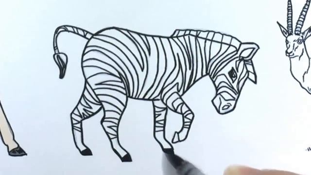 Wild Animals Coloring Pages