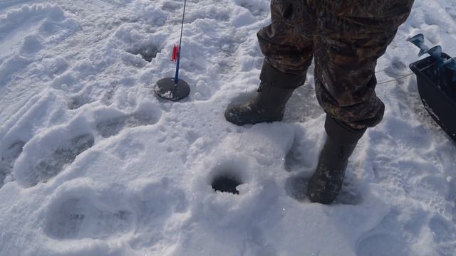РЫБАЛКА с НОЧЕВКОЙ ЗИМОЙ в мороз за -20, ТРОФЕЙ на жерлицы, рыбалка по взрослому! смотреть онлайн