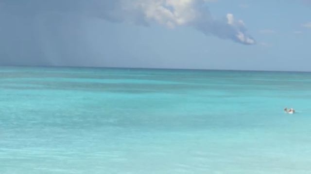 Доминикана. Карибы. Остров Саона. смотреть онлайн