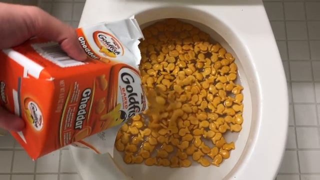 Will it Flush? - Goldfish смотреть онлайн