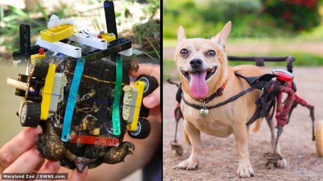 इन लोगो ने क्रिएटिविटी को एक नए आयाम तक पहुंचा दिया |People Who Took Creativity to a Whole New Leve смотреть онлайн