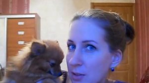 Щенка приучить к месту, хочет спать на кровати