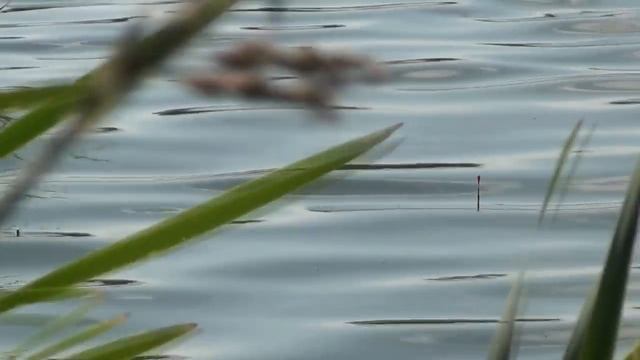 Нашёл классное озеро_отчёт о рыбалке в июне смотреть онлайн