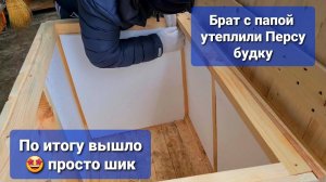 Утепляем кординально Персу будку Результат В КОНЦЕ! Кузя изменился. Как глаз у Цацы?!