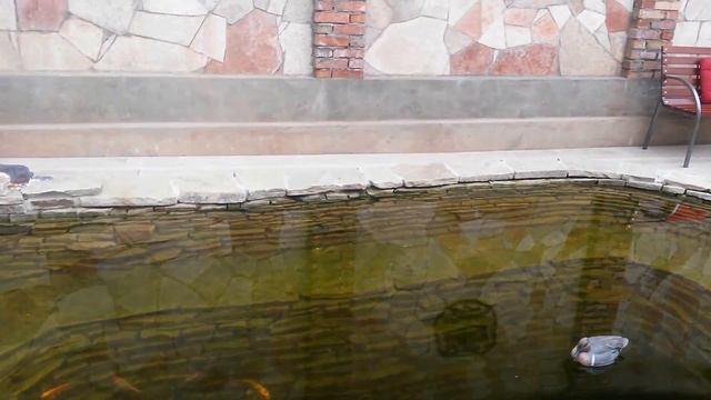 декоративный водопад на даче смотреть онлайн