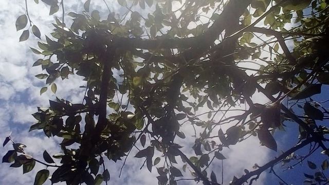 20240905_102308.mp4 смотреть онлайн