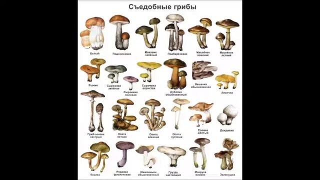 Переутомление, усталость, как  бороться. Усталость ног, усталость мозга, усталость на работе.