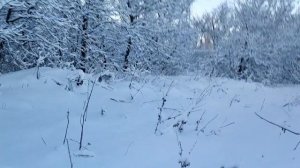 VW TIGUAN 2.0 TSI 4MOTION. ЕЗДА ПО ГЛУБОКОМУ СНЕГУ.