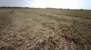 Прямой посев часть 1 и дисковка целины