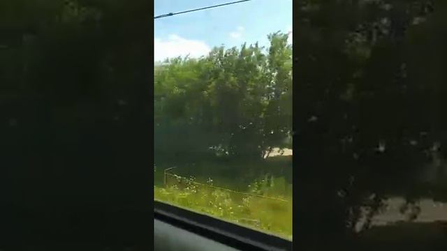 Перегон МЦД-2  Трикотажная-Тушинская