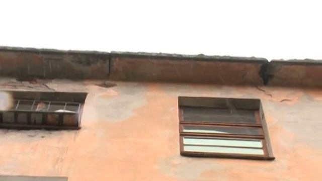 Деревья на крыше дома! смотреть онлайн