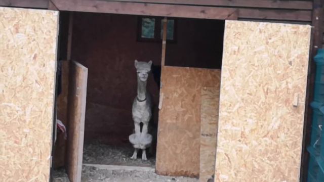 Охта Парк смотреть онлайн