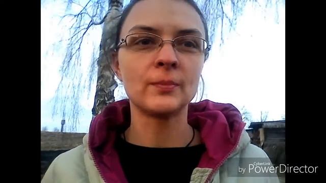 Собачья недвижимость, птичьи налёты, плач берёзы, наш пруд смотреть онлайн