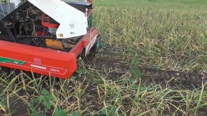 Уборка чеснока японский комбайн