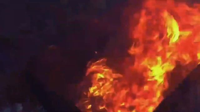 Прощай ЕГЭ.Свобода. смотреть онлайн