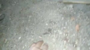 Разборка потолка.