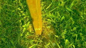 до и после Электрическая газонокосилка FinePower GRL200-43