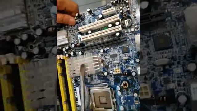 Samsung zeus Q35 clear sticker socket Processor смотреть онлайн