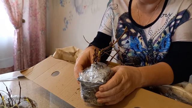 РАСПАКОВКА ПОСЫЛКИ "САДЫ РОССИИ" смотреть онлайн