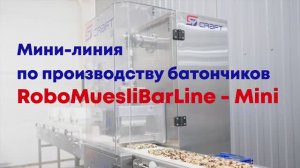 Производство батончиков мюсли на мини-линии RoboMuesliBarLine - Mini