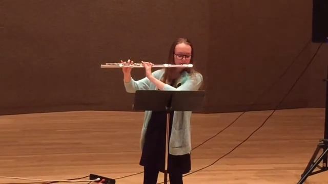 Song Of Caged Bird - Lindsey Stirling, Live Flute Performance + Sheet Music Link