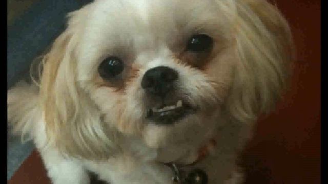 Учим китайский язык