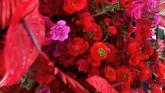 Компания осуществила техническое оснащение стенда Kenzo в тц Авиапарк. смотреть онлайн