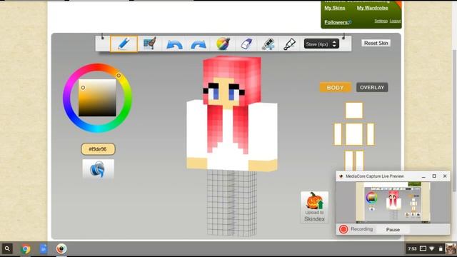 MInecraft Skin 2 // Pink Hair Panda Girl
