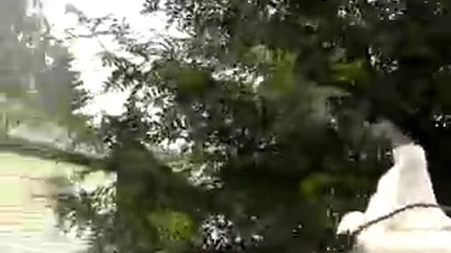 коптилка из холодильника огнетушителя и массажёра и трактор.... смотреть онлайн