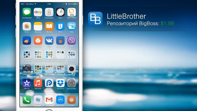 LittleBrother: для тех, кто тоже хочет...